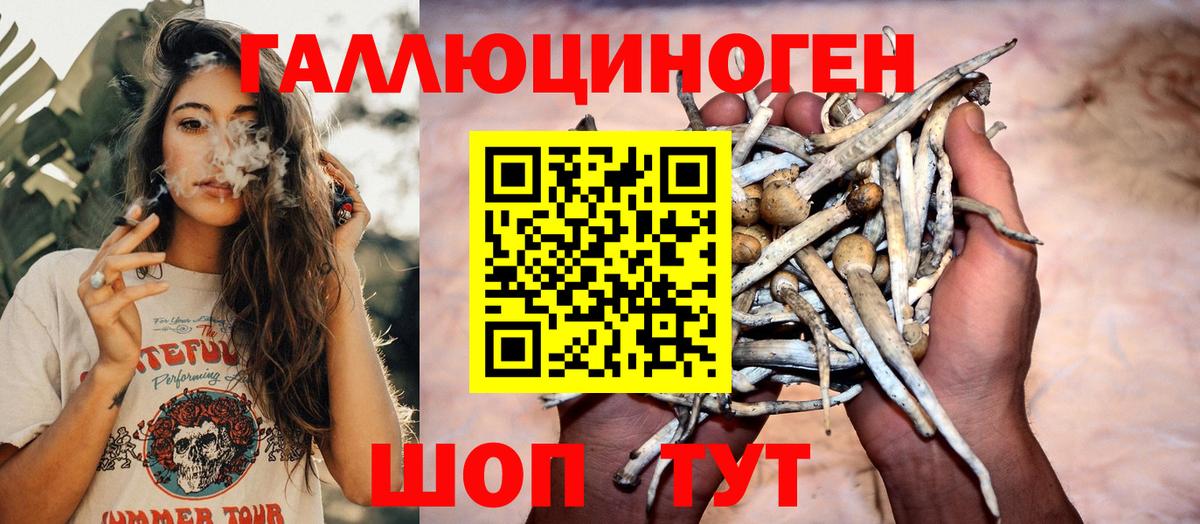 Псилоцибиновые грибы Magic Shrooms Владивосток