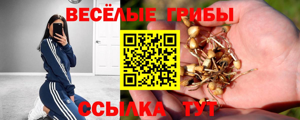 Галлюциногенные грибы ЛСД  Вход с VPN  где продают   Псилоцибиновые грибы Psilocybine cubensis  Владивосток 